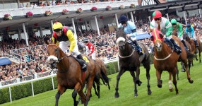 Liverpool-born jockey Franny Norton still going Flat out for success - Liverpool Echo Liverpool-born jockey Franny Norton still... 
