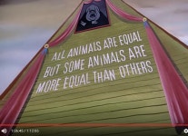 동물농장1955년 작 새로운 혁명과 인과응보