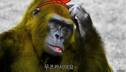 카이요도 소프비 토이박스 로랜드 고릴라