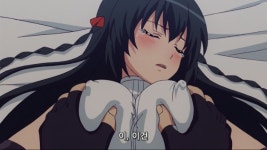 마장학원HxH 고양이 코스프레극후방주의