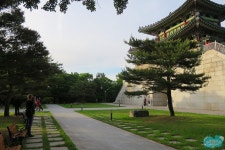 많이 변한 대구 동촌
