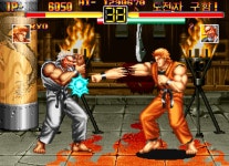 마메 용호의 권 한글판