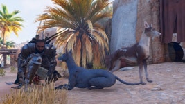 어쌔신 크리드: 오리진 DLC 파라오의 저주 | PC패키지 스샷 어쌔신 크리드: 오리진 DLC 파라오의 저주 | PC패키지 스샷 | 루리웹