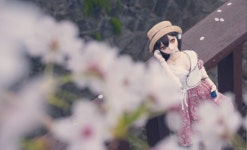 체리 블라썸♥ | 돌피 갤러리 체리 블라썸♥ | 돌피 갤러리 | 루리웹