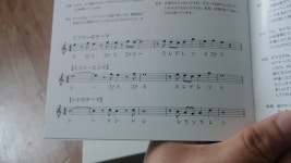 미파랑 시드 이름 유래가 | 닌텐도 스위치 게임 이야기 미파랑 시드 이름 유래가 | 닌텐도 스위치 게임 이야기 | 루리웹