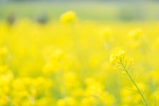 6000 안성휴게소 우동/ 55000 매운 갈비찜 대짜 | 음식 갤러리 | 루리웹 6000 안성휴게소 우동/ 55000 매운 갈비찜 대짜 | 음식 갤러리