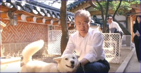 소속사 공식영상 마루의 새식구 맞이 송강아 곰이야 잘 지내보자