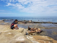이번 추석에는 미쿡 자전거 여행