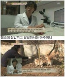 은혜갚는 천재 고양이 | (백업)유머 게시판(2017-2018) 은혜갚는 천재 고양이 | (백업)유머 게시판(2017-2018) | 루리웹
