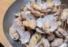 막걸리 한통 공짜였던 바지락 칼국수집