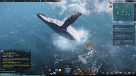 난다 고래!!!(미로섬 섬의 마음 획득) | 로스트아크 난다 고래!!!(미로섬 섬의 마음 획득) | 로스트아크 | 루리웹