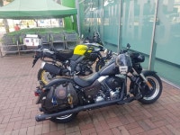 2017-2018투어 팻보이와 부리천 | 오토바이 바이크 이륜차 갤러리 2017-2018투어 팻보이와 부리천 | 오토바이 바이크 이륜차 갤러리 | 루리웹