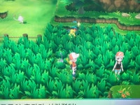 하... ㅋㅋㅋㅋㅋㅋㅋㅋ현타옵니다 | 포켓몬스터 하트골드/소울실버 ??? 하... ㅋㅋㅋㅋㅋㅋㅋㅋ현타옵니다 | 포켓몬스터 하트골드/소울실버 | 루리웹