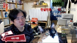 [인방] 호야, 미야가 확실히 개냥이 맞긴 한 듯 | 유머 게시판 | 루리웹