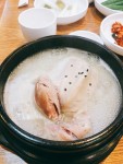 강남에서 삼계탕 먹었습니다 - 서울 강남(우성아파트사거리), 한방삼계탕 | 음식 갤러리 강남에서 삼계탕 먹었습니다 - 서울 강남... 