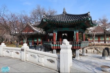 연휴기간 동안 돌아다니면서 찍어본 대구 거리 풍경들