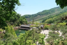 대중교통으로 홀로 당일여행 경기도 광주 화담숲