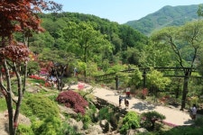 대중교통으로 홀로 당일여행 경기도 광주 화담숲