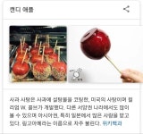 일본매체에 자주 나오는 링고아메의 정체