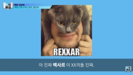 어원을 잘못 알고 있는 신조어