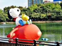 일요일 롯데월드몰에서 한 문화생활입니다 | 여행 행사 풍경 사진 갤러리 일요일 롯데월드몰에서 한 문화생활입니다 | 여행 행사 풍경 사진... 