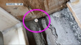 진주 버섯 아파트