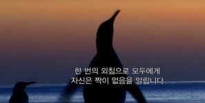 짝이 없어서 울부 짖는 펭귄 진실