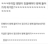 댕댕이 교육 후
