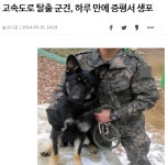 탈영한 군견이 훈련을 거듭해 정예 S급 군견이 된 이야기