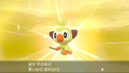 1821번째 이로치 뽑기완료 스타팅몬