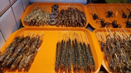 연말연시 중국 음식들2중국 상하이