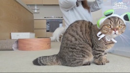 게시판 분위기를 밝혀줄 루루애오