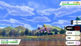 두뇌발달에 좋은 등푸른 생선jpg