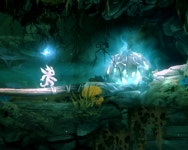 오리와 눈먼 숲에서 이건 어디다 쓰는건가요