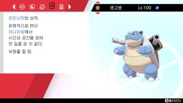 고향 떠나 넘어온 거북왕