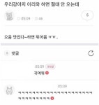우리 강아지 이리와 하면 절대 안 오는데