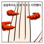 섬섬옥수