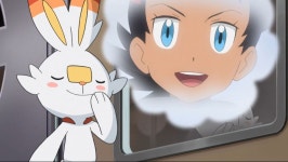 포켓몬 결국 참참못 시전한 염버니gif