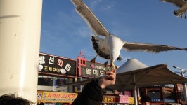 하이엔드 카메라로 촬영한 고화질 월미도 풍경