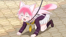 시튼학원 쩡이 왜 없을까