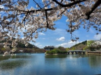 3월 29일 대구 두류공원