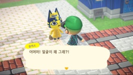 클레오 너무 귀엽습니다 귀여워요