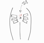 생애 첫 똥꼬 뚫렸다