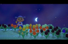 [미소녀 전사 세일러 문] 미츠이시 코토노, 동물의 숲으로 세일러 문을 코스튬 | 취미 정보 [미소녀 전사 ...