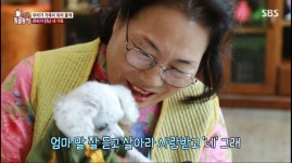 14년 동안이나 함께 산 반려견을 입양보내는 주인 | 유머 게시판 | 루리웹