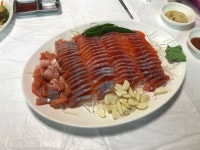 송어회랑 디저트 | 음식 갤러리 송어회랑 디저트 | 음식 갤러리 | 루리웹