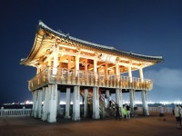 LG 벨벳 카메라 사용기 사진편