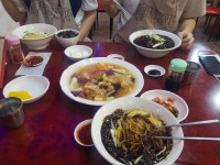 춘천 명동 중화요리 친친 탕수육과 짜장면 점심식사