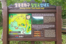 관음도와 언더더씨 그리고 나리 분지 3박 4일 울릉도 여행기 2일 차