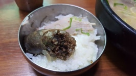 7월에 갔던 먹부림 여수여행 스압주의